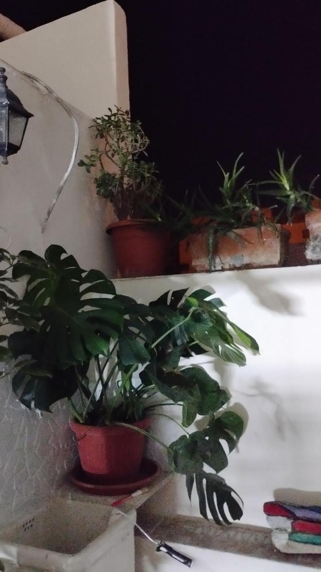Very Smail House Аугуста Экстерьер фото